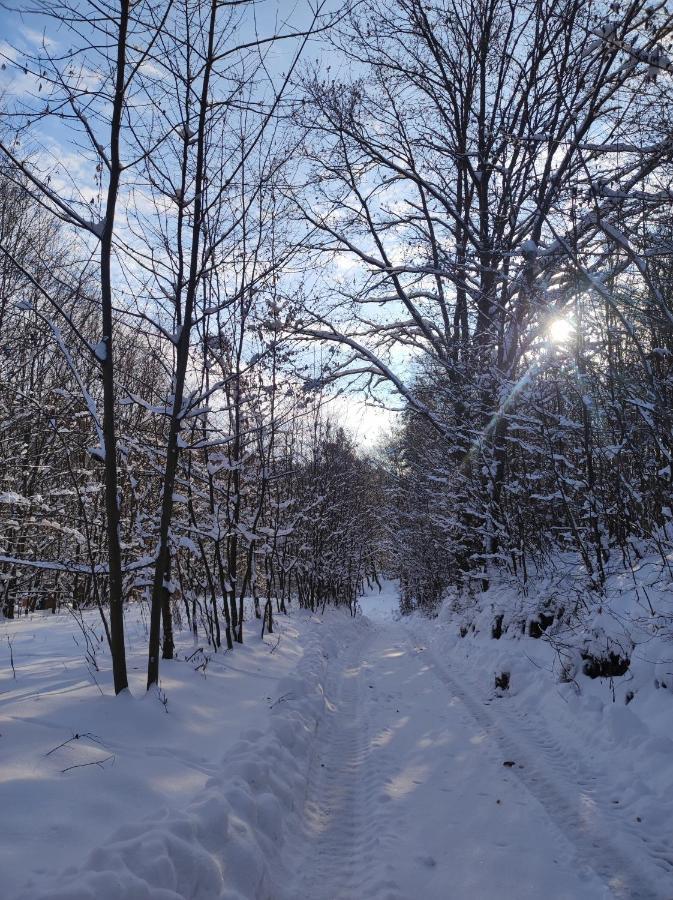 Miedzy Drzewami Villa Biecz Bagian luar foto