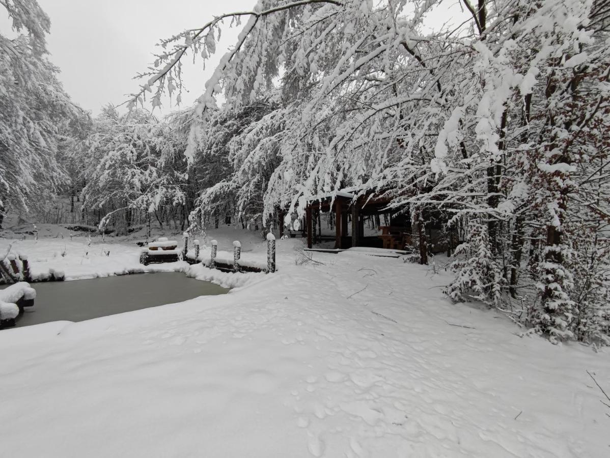 Miedzy Drzewami Villa Biecz Bagian luar foto